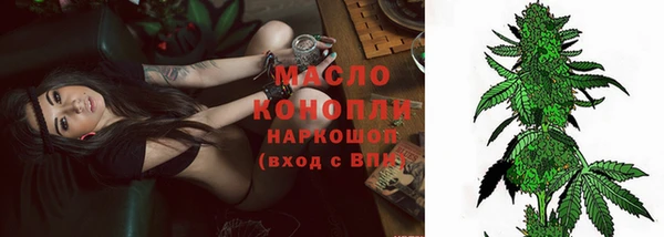 твердый Дмитровск