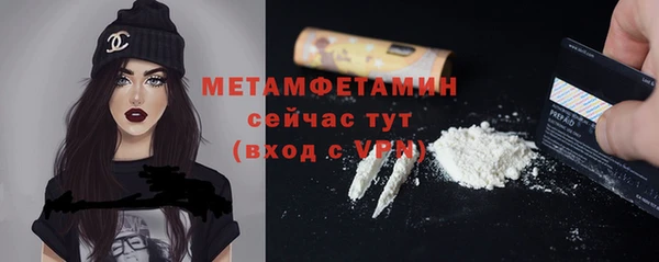 твердый Дмитровск