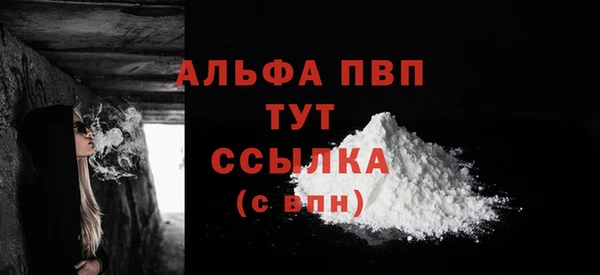 твердый Дмитровск