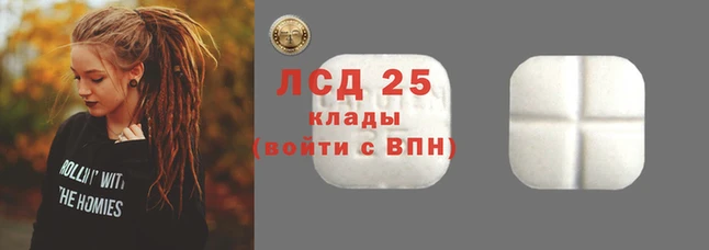 твердый Дмитровск