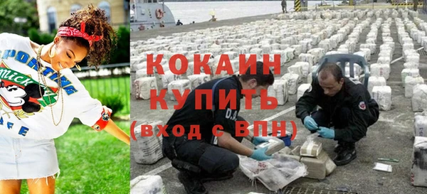 твердый Дмитровск